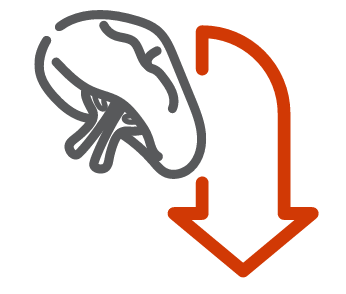 Spleen and down arrow